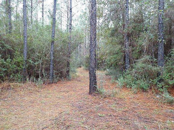 4th image of 8008 Chumuckla Hwy #A