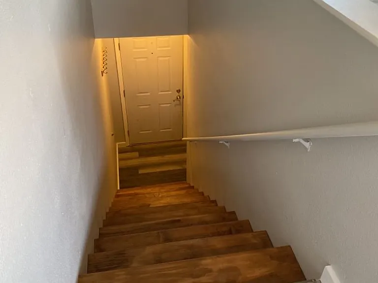 451 Mulberry Dr — Photo 33