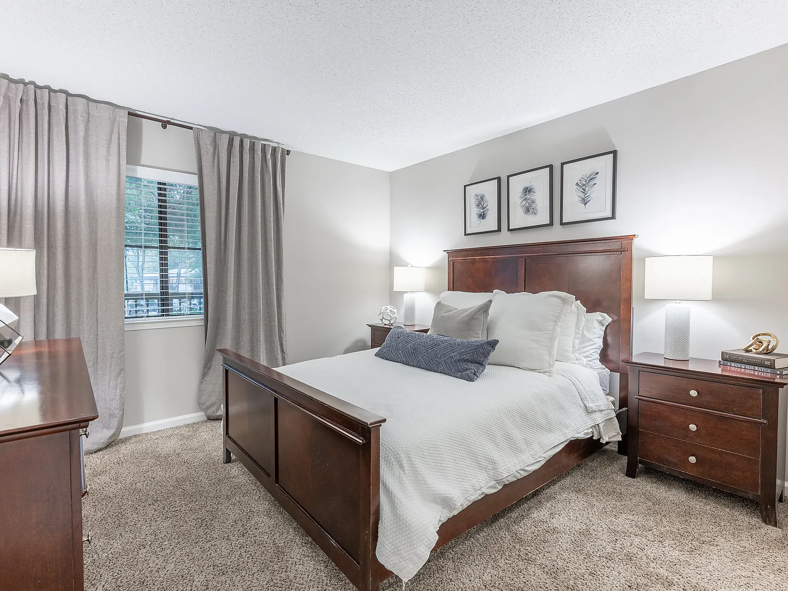 The Carson at Peachtree Corners — Photo 3