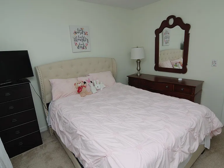 212 Glossy Green Ln — Photo 20