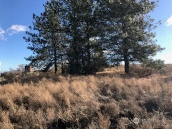 39680 -5 Star Barn Road N, Davenport, WA 99122