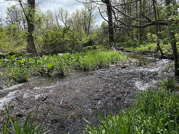 2nd image of Caswell Rd Lot Wp001