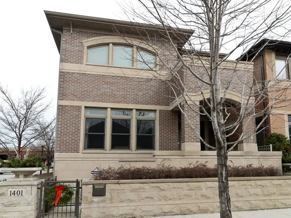 1401 S Emerald St #House, Chicago, IL 60607