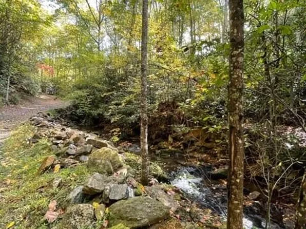 724 Blackgum Ct #350, Hendersonville, NC 28739