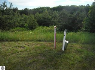 LOT 153 Olympia Flds, Bellaire, MI 49615