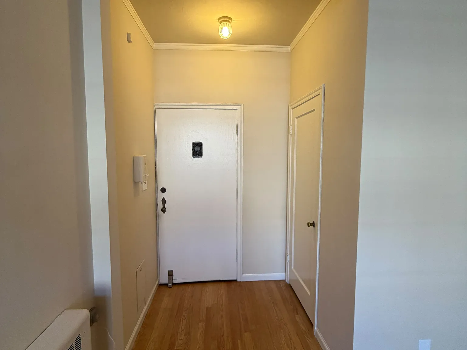 Studio, 600 sqft, $1,550 — Photo 2