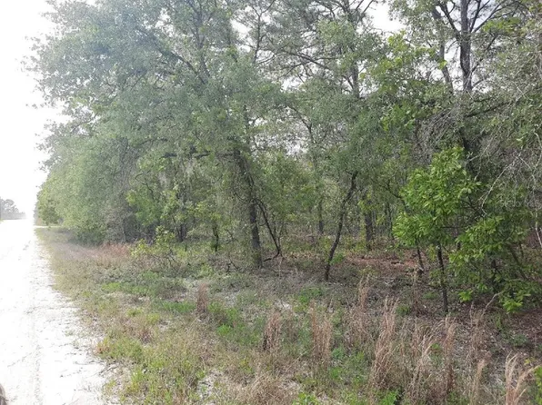 SW 78th Pl, Dunnellon, FL 34432