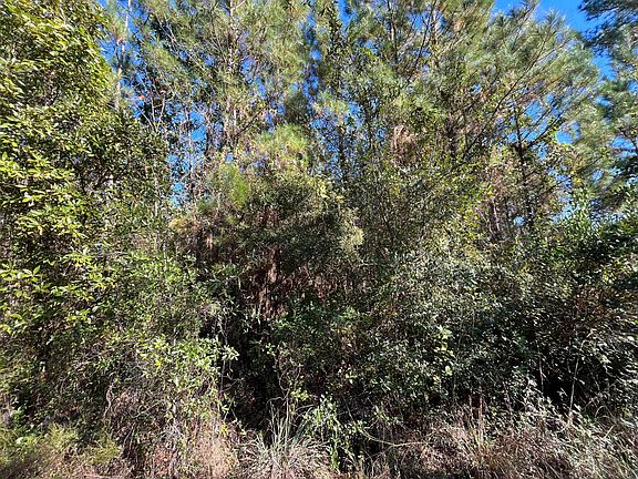 3rd image of 223 Mourning Dove Road