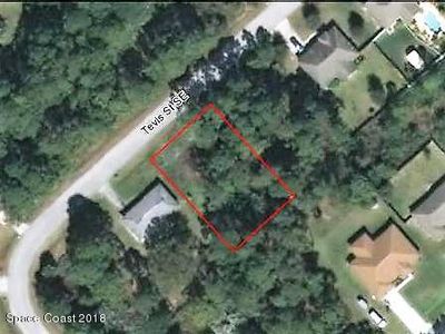 1032 Tevis St SE, Palm Bay, FL, 32909