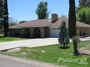 Home-Hogg