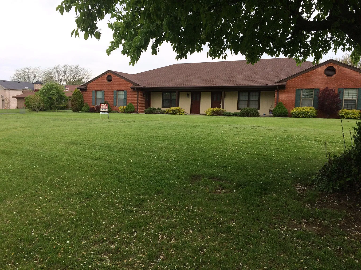 1 bed, 800 sqft, $1,075 — Photo 1
