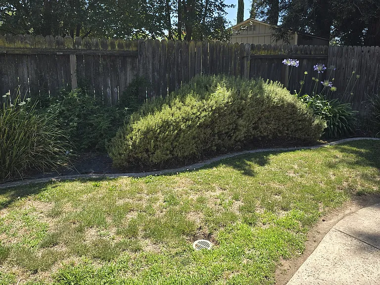 421 Community Dr — Photo 21