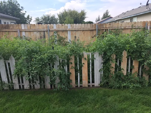 4902 Sierra Dr — Photo 16