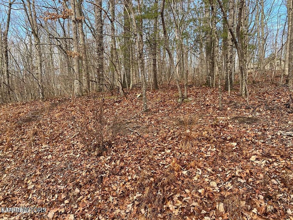 1st image of 116 Overlook Cv Lot 167