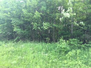 Dora Dr, Newbury, OH 44065