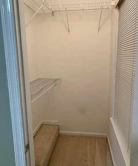 3963 Captain Molly Cir #3963 — Photo 6