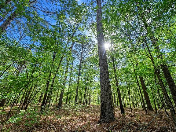 5th image of 640 NE Three Creeks Rd Lot 40