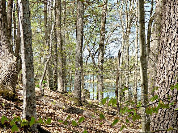 4th image of 9 Clark Ln Lot 9