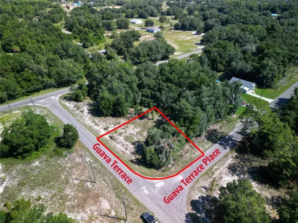 9042-1642-11 SE Guava Terrace Trl #11, Ocklawaha, FL 32179