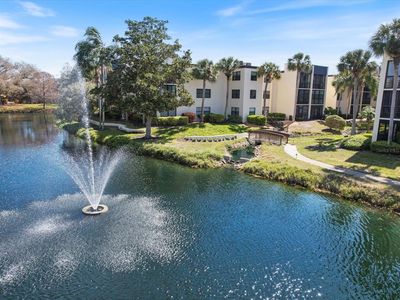 14255 Rosemary Ln APT 8306, Largo, FL, 33774