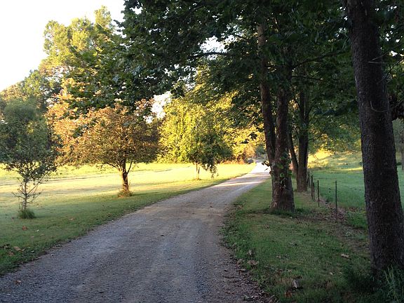2nd image of 378 Whitetail Ln