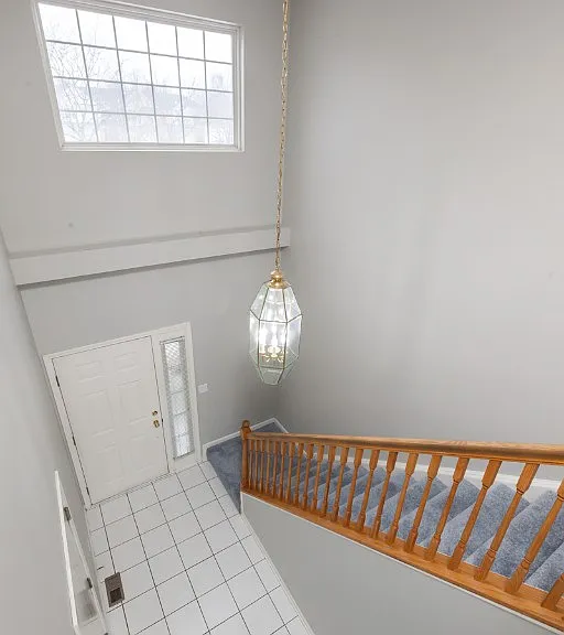 2991 Belle Ln — Photo 29