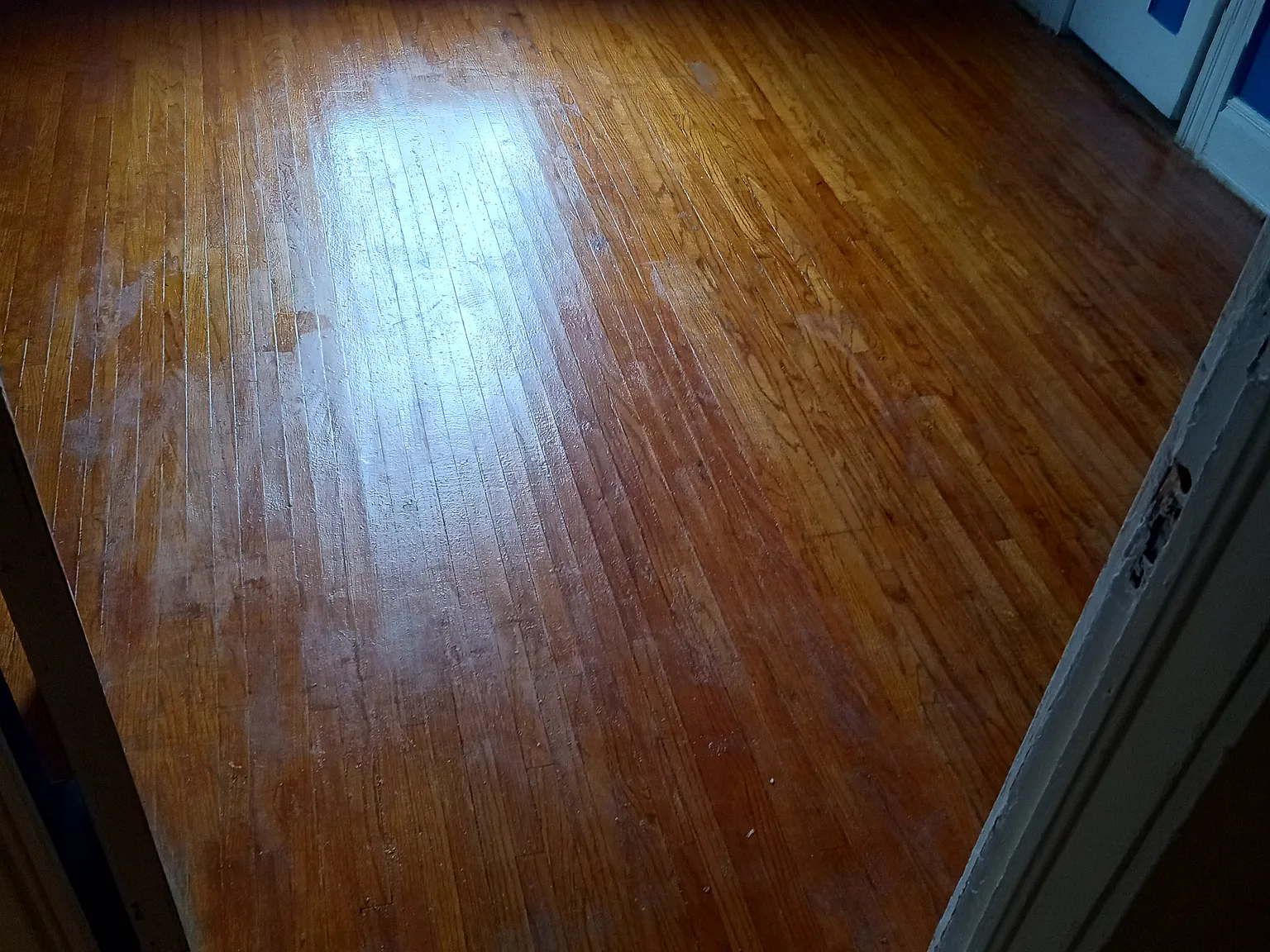 442 Arcadia Ave — Photo 3