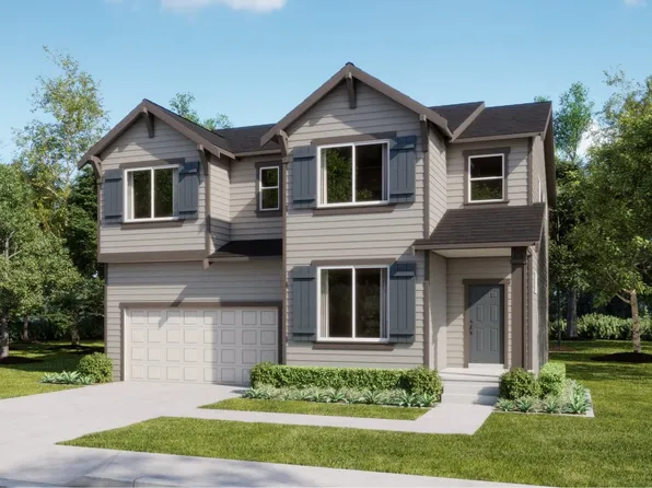 Bailey Plan, Ponderosa Pines