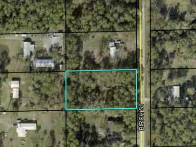 1082 Birch St LOT 12, Bunnell, FL, 32110