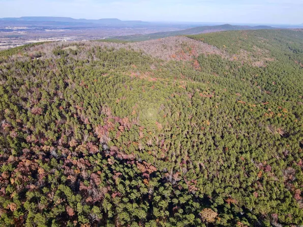 (undisclosed Address), Danville, AR 72833