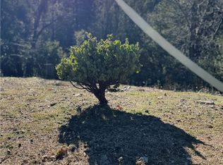 29373 Pine Dr #19, Cedar Glen, CA 92321