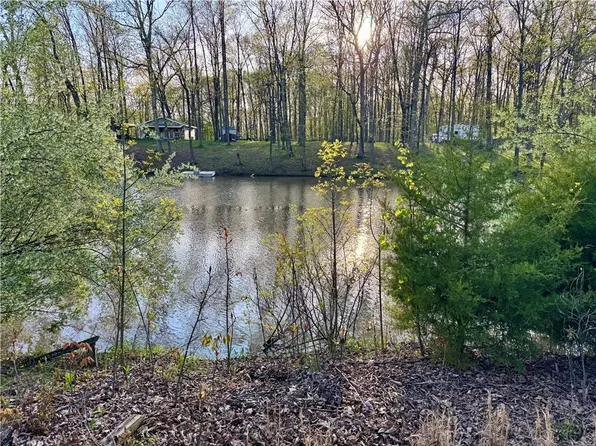 15767 N Lakeshore Dr, Martinsville, IL 62442