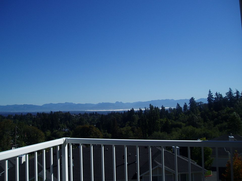 View from deck