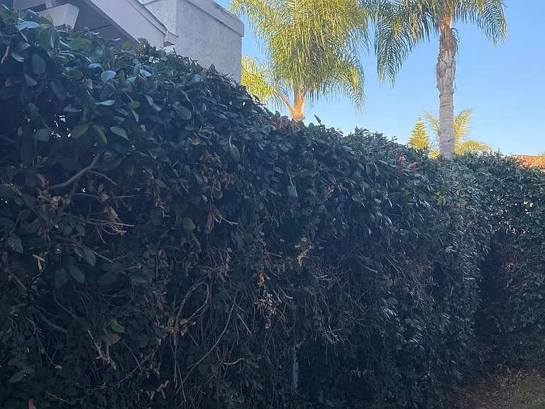Hillcrest Palms Apartments — Photo 56