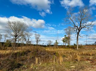 0 Hopewell Church Rd, Ellaville, GA 31806