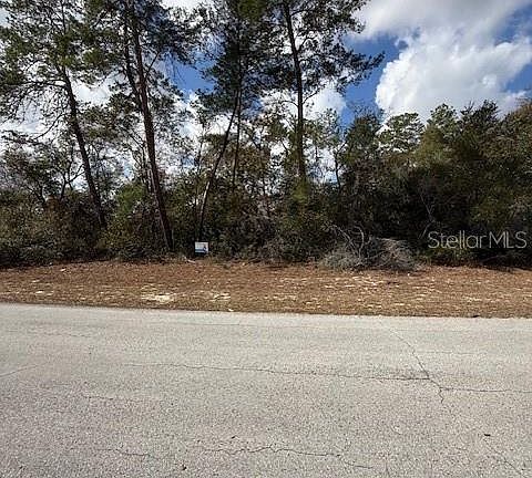 3rd image of 0 SW 42nd Court Rd Lot 1