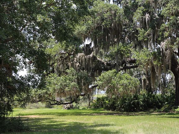 3rd image of 436 Everglades Ln