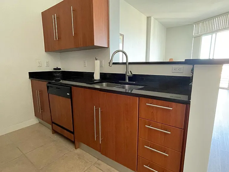 325 Biscayne Blvd #16 — Photo 6