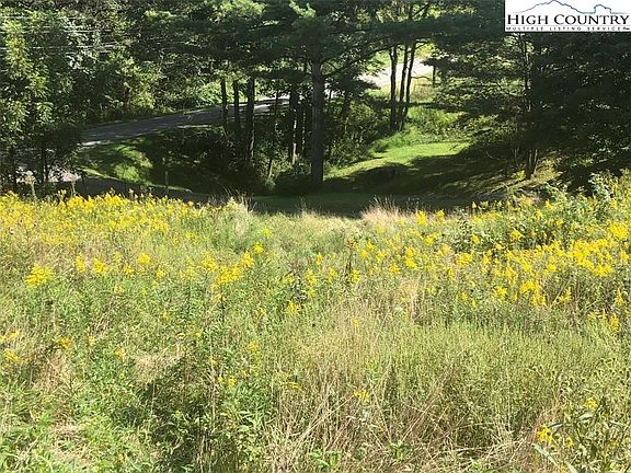5th image of TBD NC Hwy 194 N