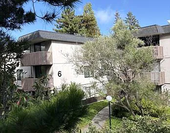 6131 Shelter Creek Ln — Photo 14