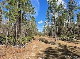 2nd image of 4930 N Sandpebble Point