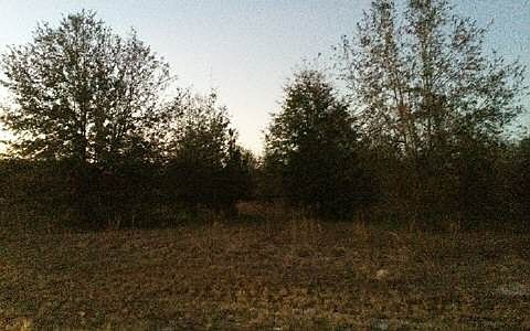 2nd image of 162 Terrace