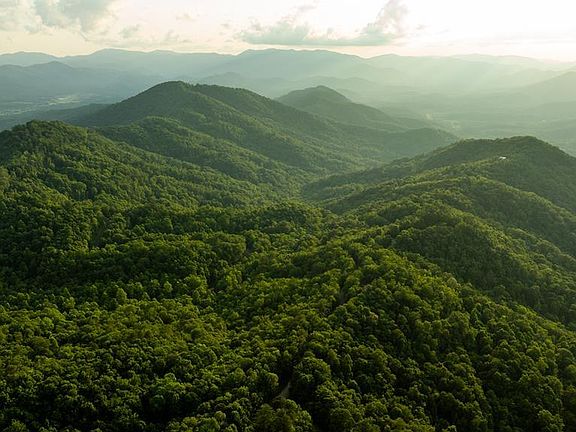 2nd image of 53 Lyle Mountain Trl