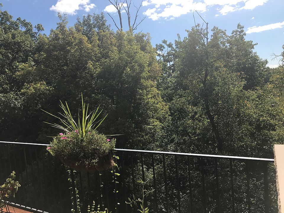  View of land from the home 