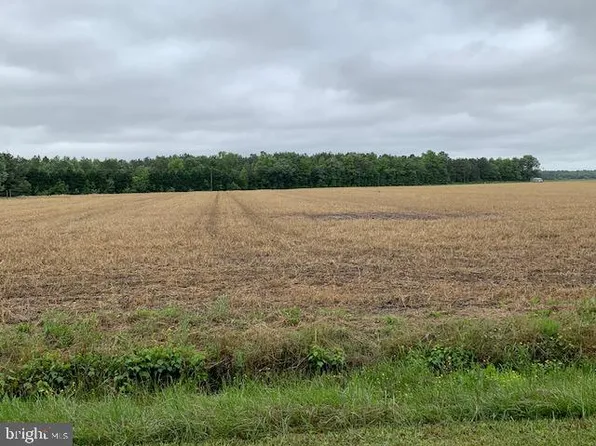 4 Sugar Stick Rd, Harrington, DE 19952