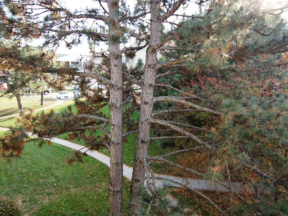 1st image of 5102 Emerald Dr #22