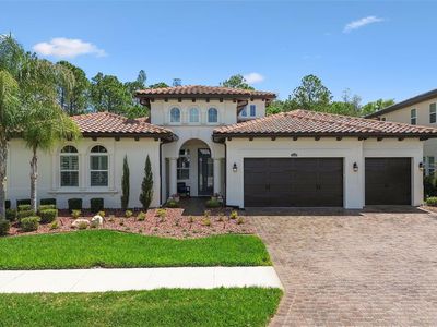 29190 Picana Ln, Wesley Chapel, FL, 33543