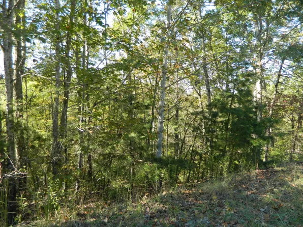 Black Hawk Dr, Ten Mile, TN 37880