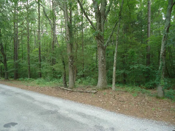 0 Highway 190, Palmersville, TN 38241