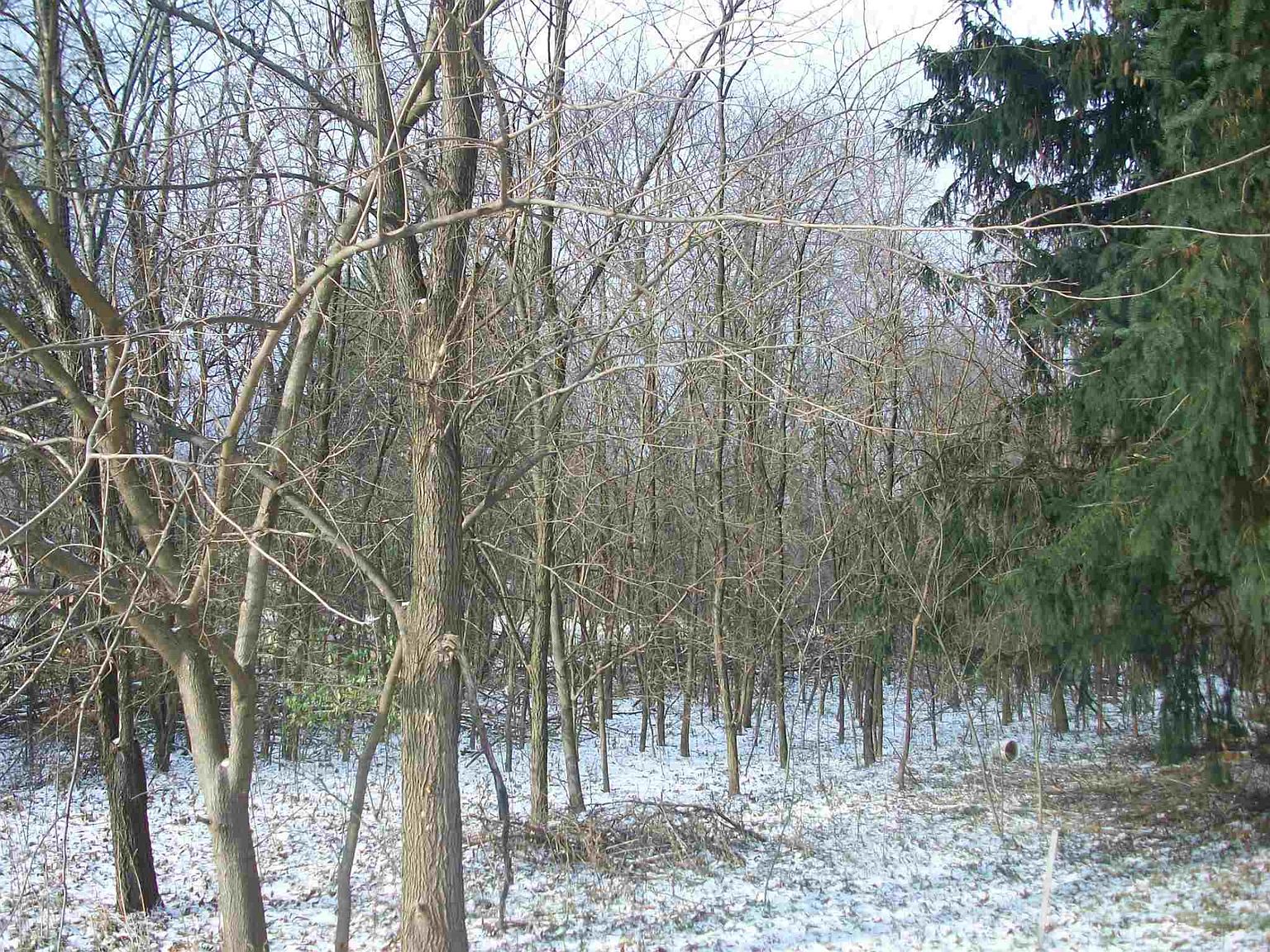 11955 Adams Rd, Granger, IN 46530 Zillow